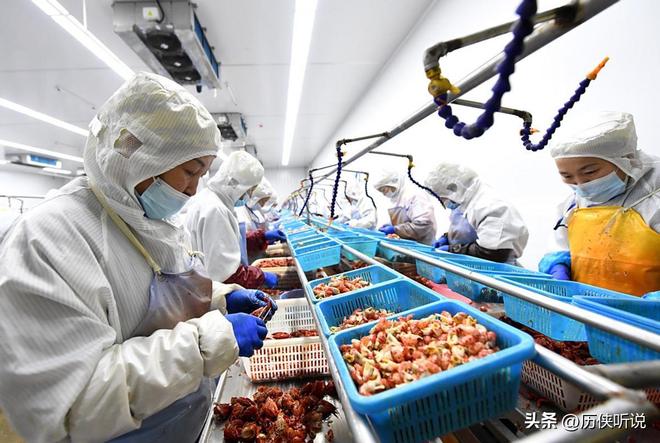 制菜正在加速突围未来将成为餐饮新趋势！PG电子麻将胡了外卖时代或将终结？预(图9)